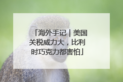 海外手记｜美国关税威力大，比利时巧克力都害怕