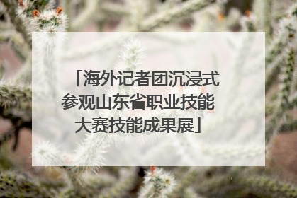 海外记者团沉浸式参观山东省职业技能大赛技能成果展