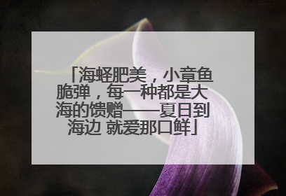 海蛏肥美，小章鱼脆弹，每一种都是大海的馈赠——夏日到海边 就爱那口鲜