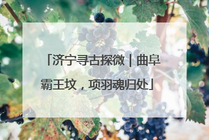 济宁寻古探微｜曲阜霸王坟，项羽魂归处