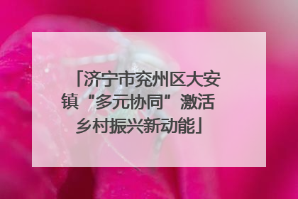 济宁市兖州区大安镇“多元协同”激活乡村振兴新动能