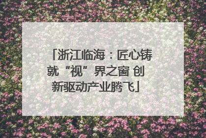 浙江临海：匠心铸就“视”界之窗 创新驱动产业腾飞