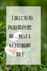 浙江发布海浪蓝色警报，预计16日傍晚解除
