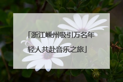 浙江嵊州吸引万名年轻人共赴音乐之旅