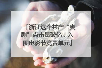 浙江这个村产“爽剧”点击量破亿，入围电影节竞赛单元