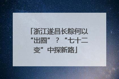 浙江遂昌长粽何以“出圈”？“七十二变”中探新路