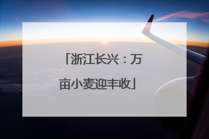 浙江长兴：万亩小麦迎丰收