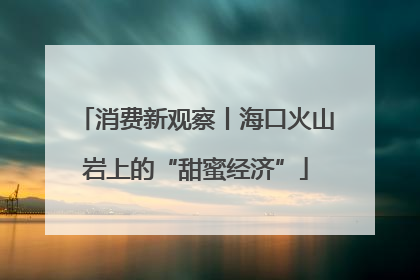 消费新观察丨海口火山岩上的“甜蜜经济”