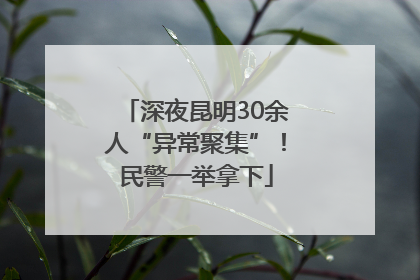 深夜昆明30余人“异常聚集”！民警一举拿下