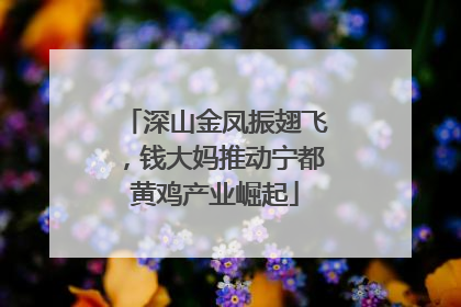 深山金凤振翅飞，钱大妈推动宁都黄鸡产业崛起