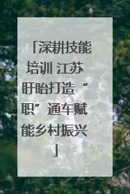 深耕技能培训 江苏盱眙打造“职”通车赋能乡村振兴