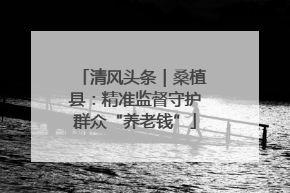 清风头条｜桑植县：精准监督守护群众“养老钱”