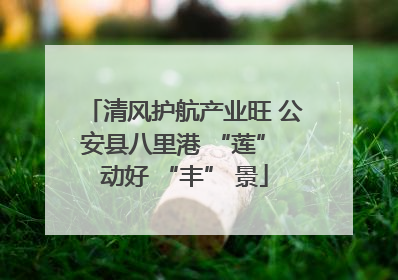 清风护航产业旺 公安县八里港 “莲” 动好 “丰” 景