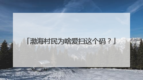 渤海村民为啥爱扫这个码？