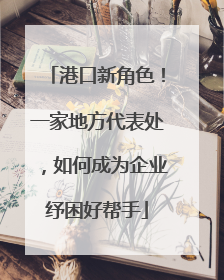 港口新角色！一家地方代表处，如何成为企业纾困好帮手