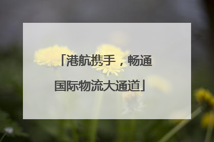 港航携手，畅通国际物流大通道