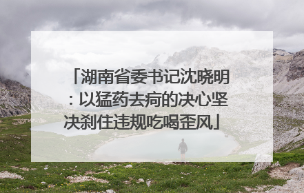湖南省委书记沈晓明：以猛药去疴的决心坚决刹住违规吃喝歪风