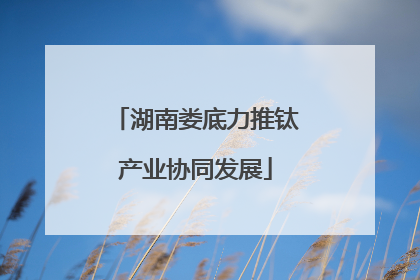 湖南娄底力推钛产业协同发展