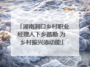 湖南洞口乡村职业经理人下乡踏勘 为乡村振兴添动能