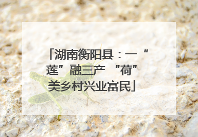 湖南衡阳县：一“莲”融三产 “荷”美乡村兴业富民