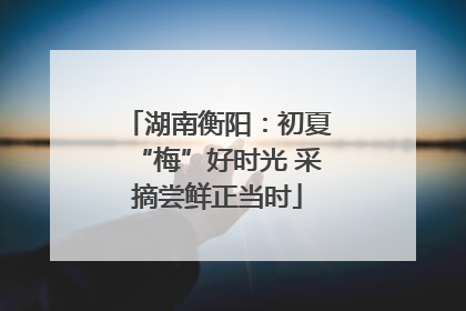 湖南衡阳：初夏“梅”好时光 采摘尝鲜正当时