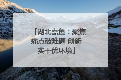 湖北嘉鱼：聚焦痛点破难题 创新实干优环境