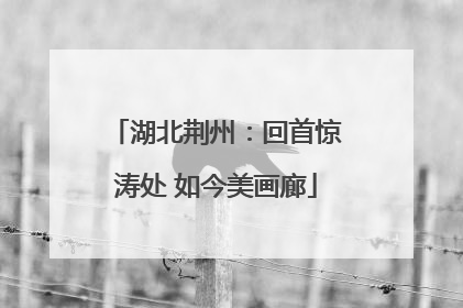 湖北荆州：回首惊涛处 如今美画廊
