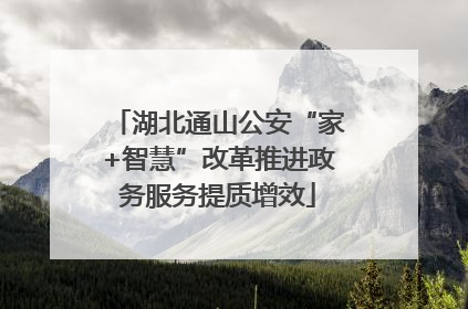 湖北通山公安“家+智慧”改革推进政务服务提质增效