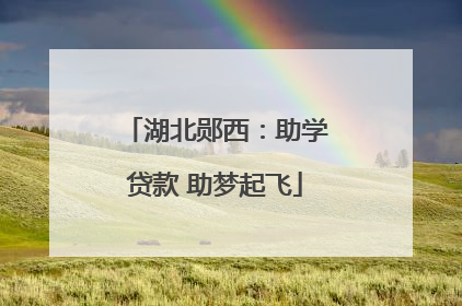 湖北郧西：助学贷款 助梦起飞
