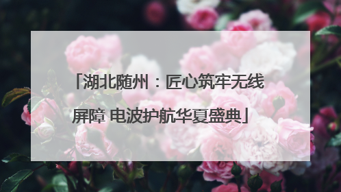 湖北随州：匠心筑牢无线屏障 电波护航华夏盛典