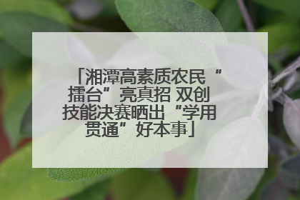 湘潭高素质农民“擂台”亮真招 双创技能决赛晒出“学用贯通”好本事