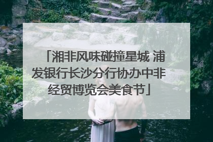 湘非风味碰撞星城 浦发银行长沙分行协办中非经贸博览会美食节