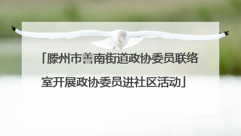 滕州市善南街道政协委员联络室开展政协委员进社区活动