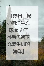 滨州：保护海洋生态环境 为子孙后代留下充满生机的海洋