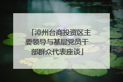 漳州台商投资区主要领导与基层党员干部群众代表座谈