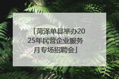菏泽单县举办2025年民营企业服务月专场招聘会