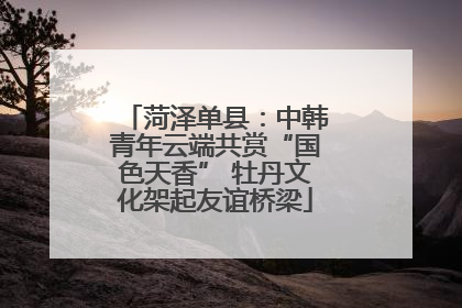 菏泽单县：中韩青年云端共赏“国色天香” 牡丹文化架起友谊桥梁