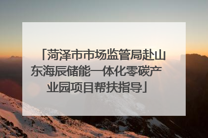 菏泽市市场监管局赴山东海辰储能一体化零碳产业园项目帮扶指导