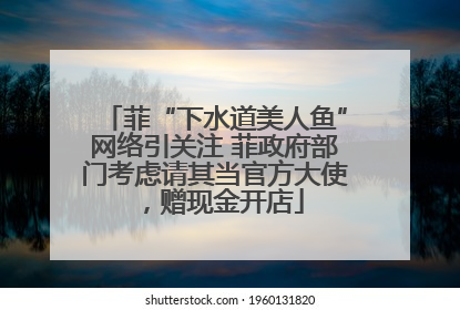 菲“下水道美人鱼”网络引关注 菲政府部门考虑请其当官方大使，赠现金开店