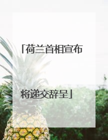 荷兰首相宣布将递交辞呈
