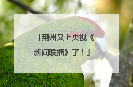 荆州又上央视《新闻联播》了！