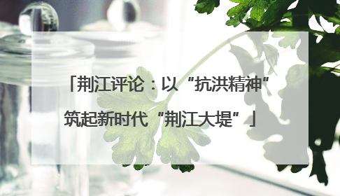 荆江评论：以“抗洪精神”筑起新时代“荆江大堤”