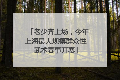 老少齐上场，今年上海最大规模群众性武术赛事开赛