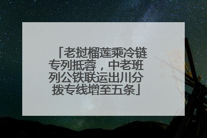老挝榴莲乘冷链专列抵蓉，中老班列公铁联运出川分拨专线增至五条