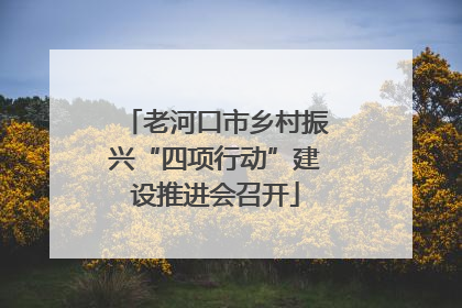 老河口市乡村振兴“四项行动”建设推进会召开