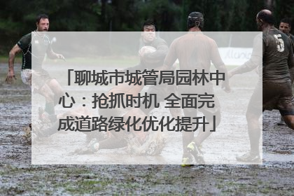 聊城市城管局园林中心：抢抓时机 全面完成道路绿化优化提升