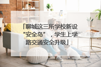 聊城这三所学校新设“安全岛”，学生上学路交通安全升级