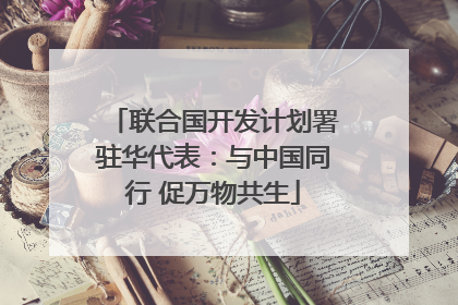 联合国开发计划署驻华代表：与中国同行 促万物共生