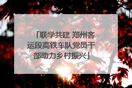 联学共建 郑州客运段高铁车队党员干部助力乡村振兴