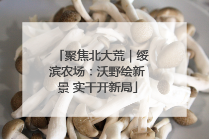 聚焦北大荒｜绥滨农场：沃野绘新景 实干开新局